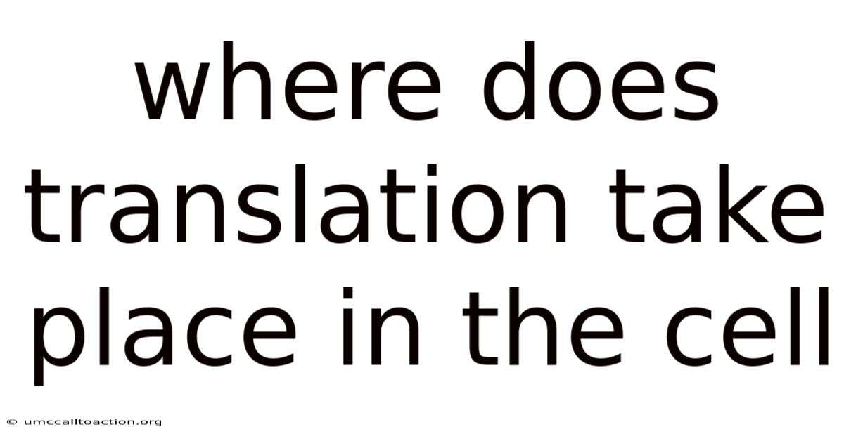 Where Does Translation Take Place In The Cell