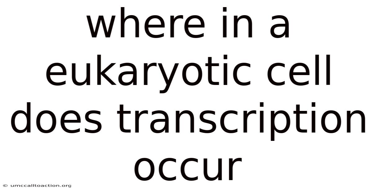 Where In A Eukaryotic Cell Does Transcription Occur