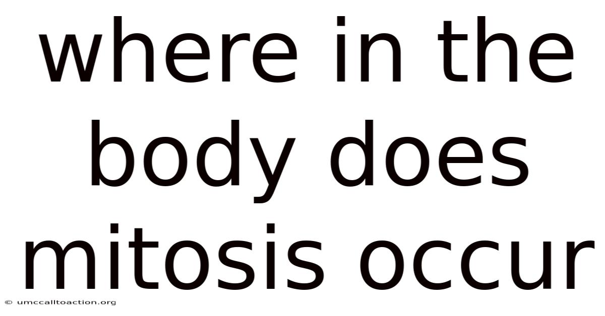 Where In The Body Does Mitosis Occur