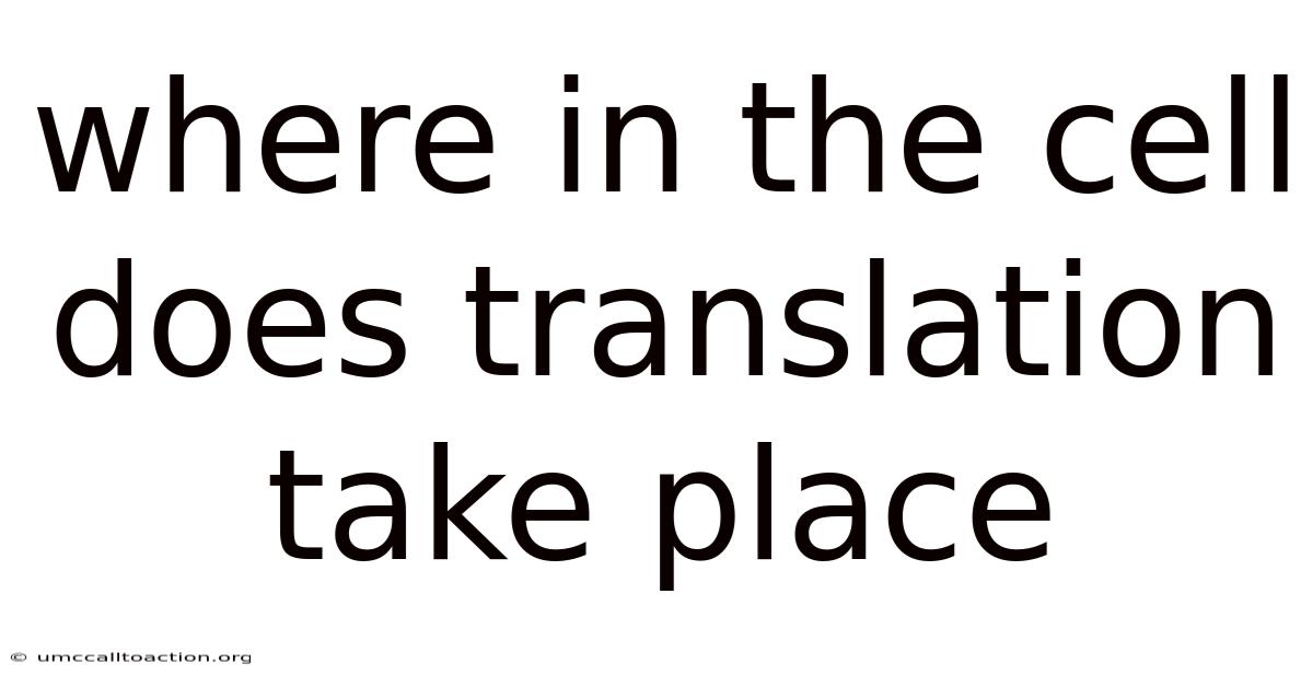 Where In The Cell Does Translation Take Place