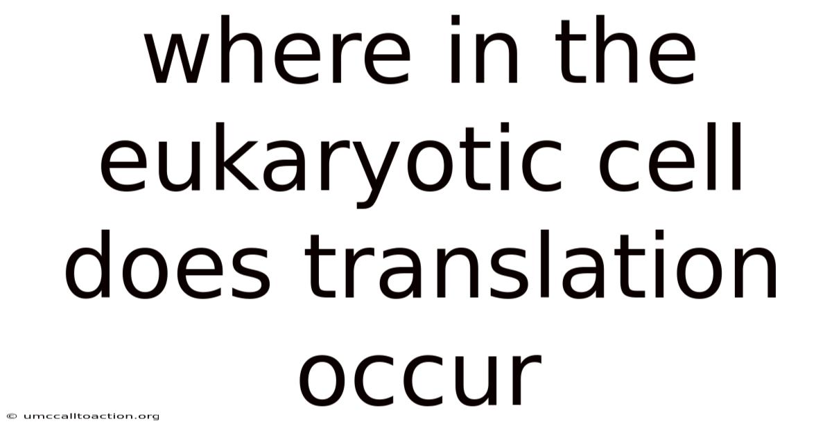 Where In The Eukaryotic Cell Does Translation Occur
