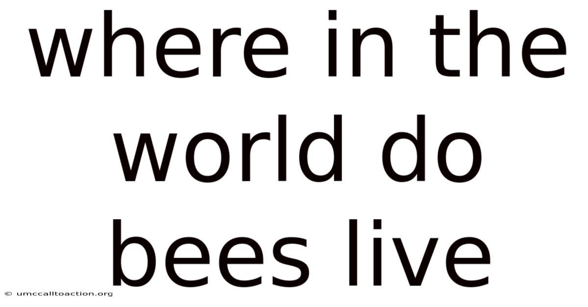 Where In The World Do Bees Live