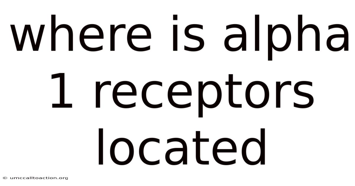 Where Is Alpha 1 Receptors Located