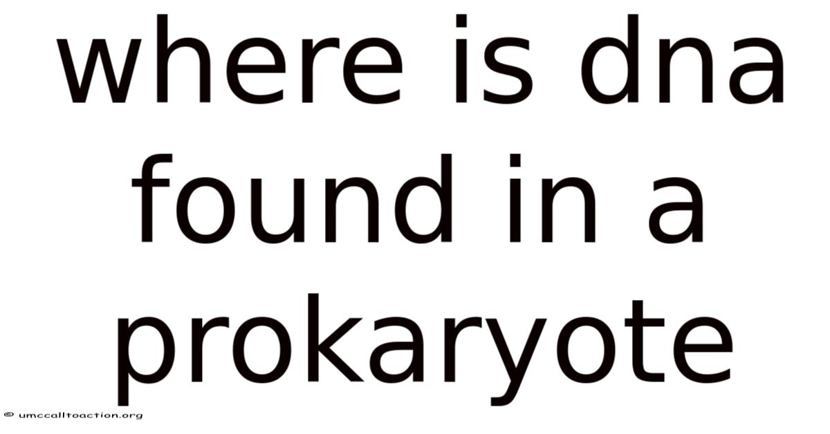 Where Is Dna Found In A Prokaryote