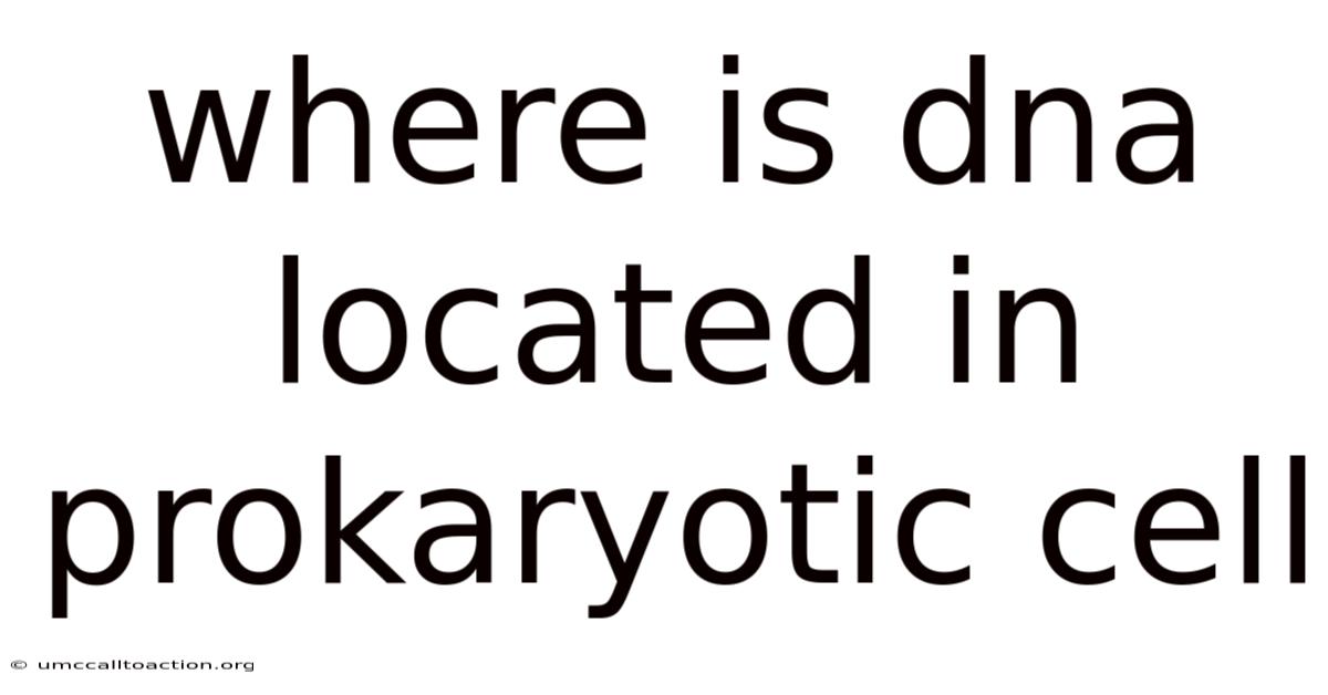 Where Is Dna Located In Prokaryotic Cell