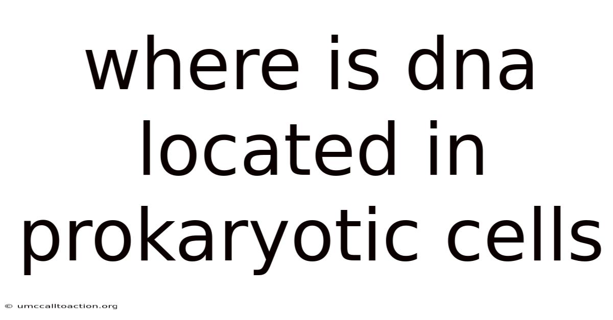 Where Is Dna Located In Prokaryotic Cells