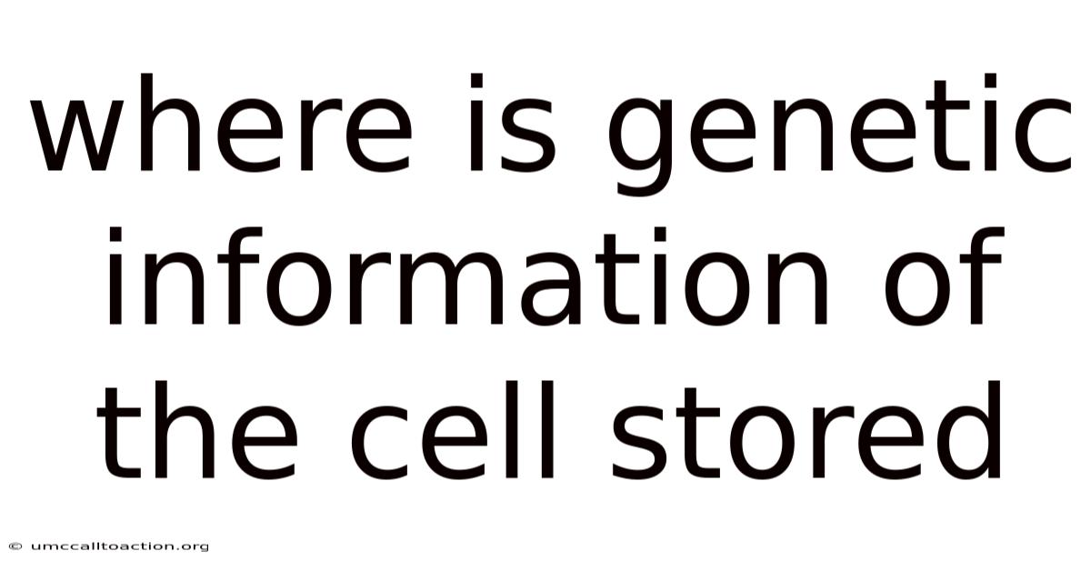 Where Is Genetic Information Of The Cell Stored