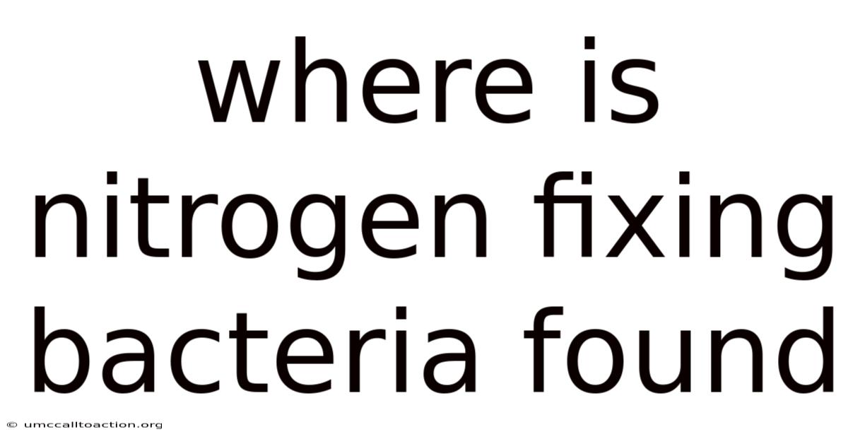 Where Is Nitrogen Fixing Bacteria Found
