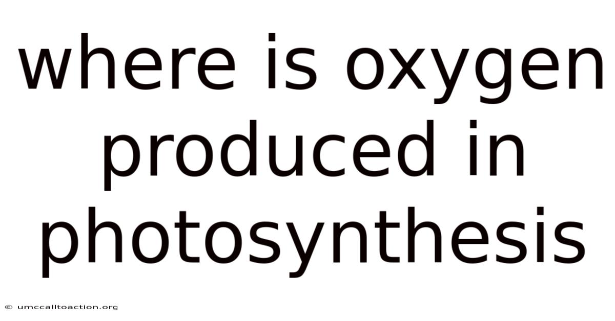 Where Is Oxygen Produced In Photosynthesis