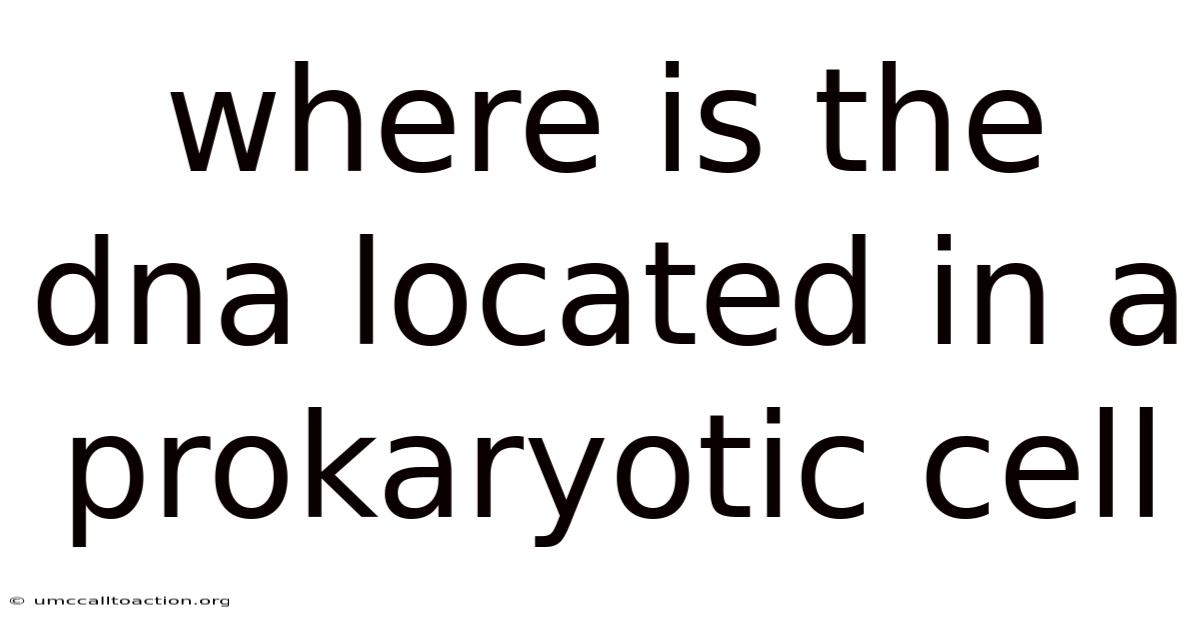 Where Is The Dna Located In A Prokaryotic Cell