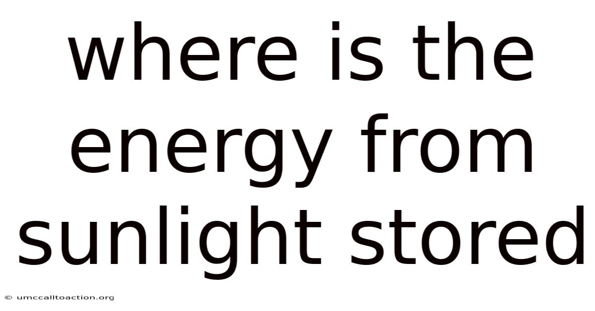 Where Is The Energy From Sunlight Stored