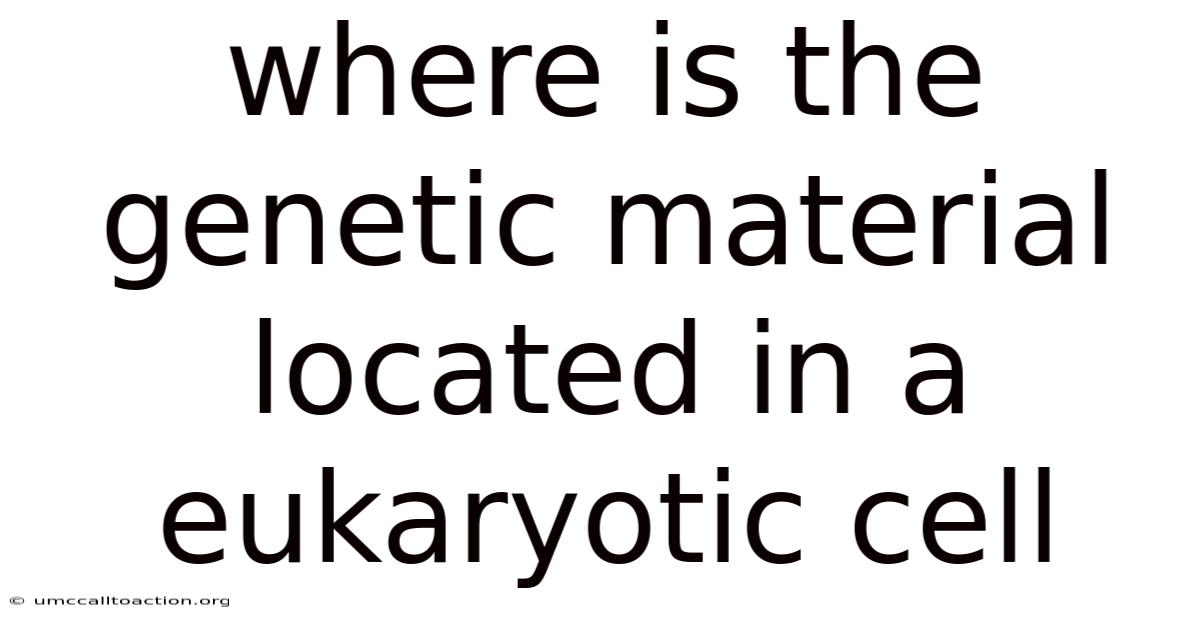 Where Is The Genetic Material Located In A Eukaryotic Cell