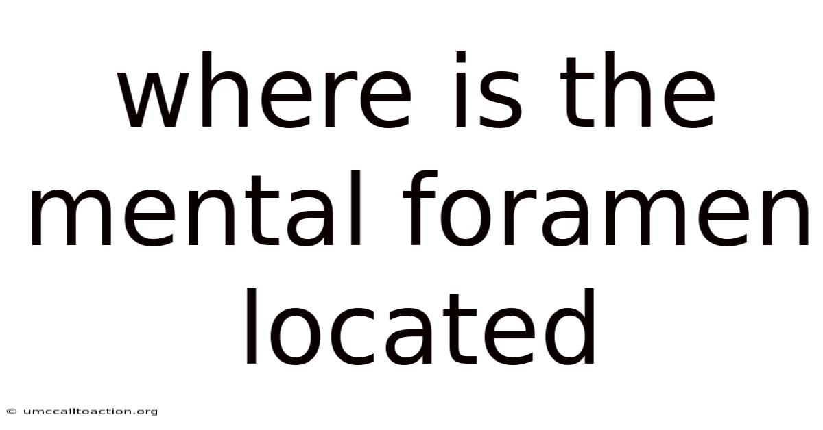 Where Is The Mental Foramen Located