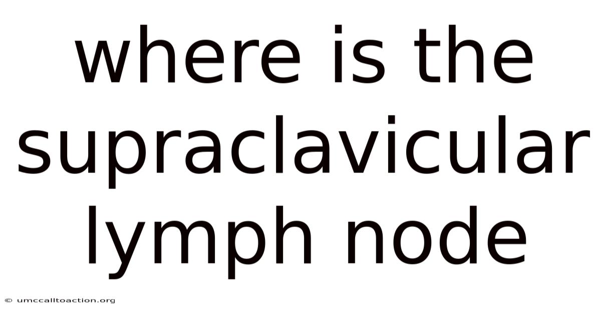 Where Is The Supraclavicular Lymph Node