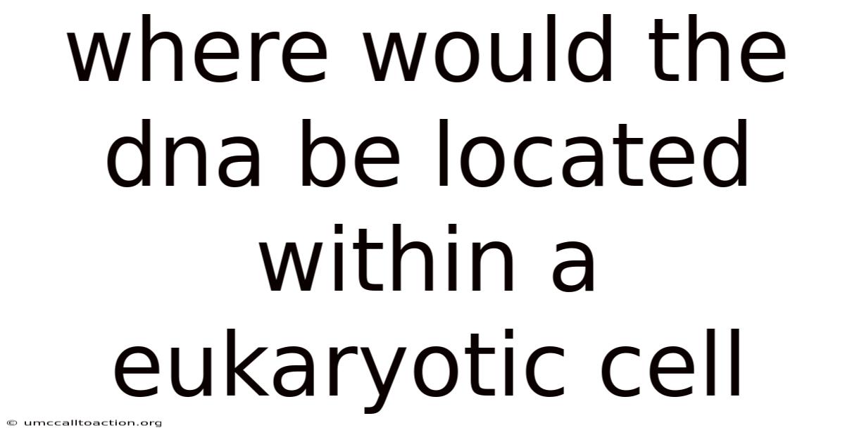 Where Would The Dna Be Located Within A Eukaryotic Cell