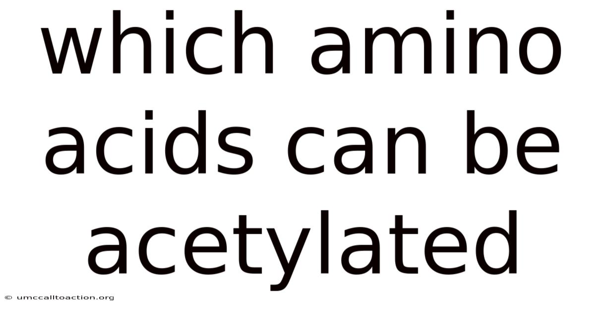Which Amino Acids Can Be Acetylated