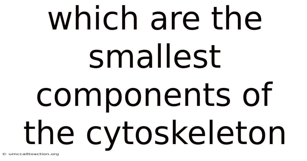 Which Are The Smallest Components Of The Cytoskeleton
