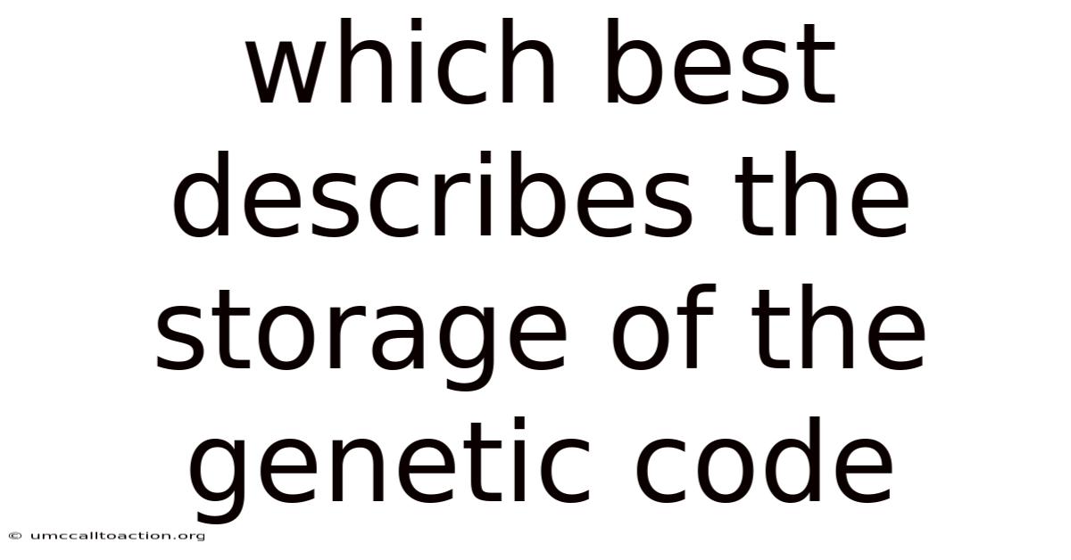 Which Best Describes The Storage Of The Genetic Code