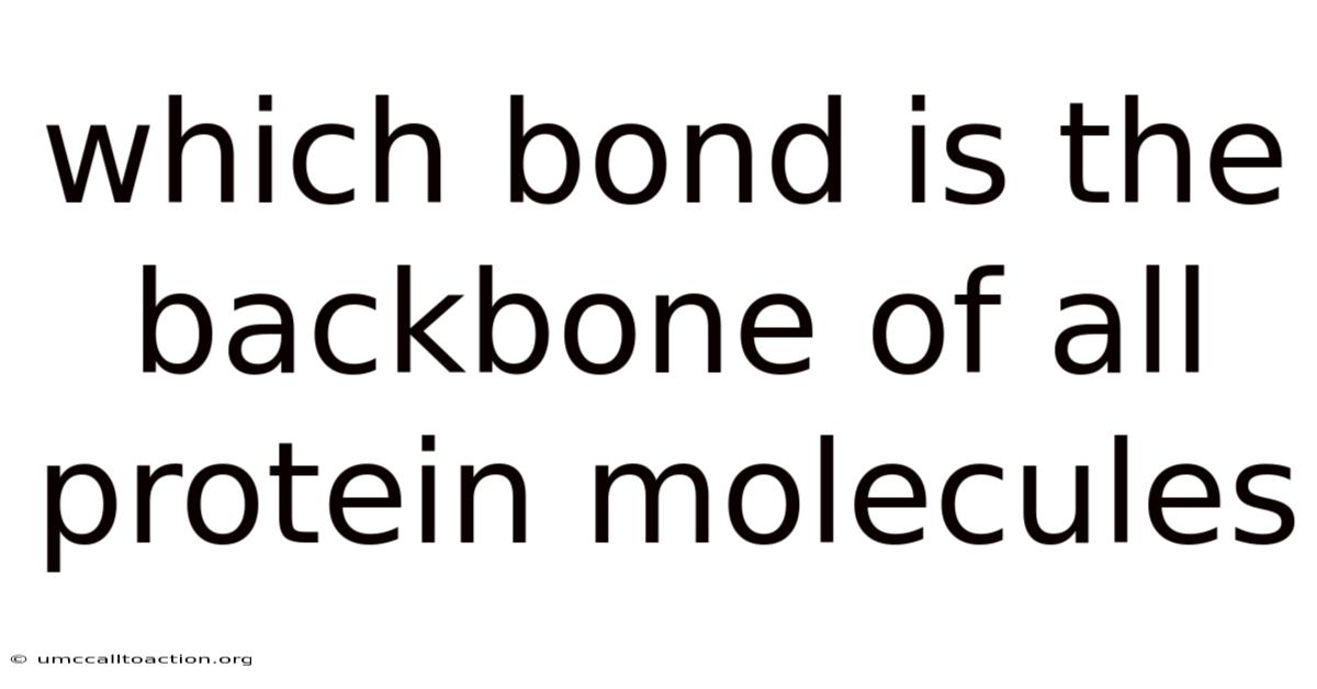 Which Bond Is The Backbone Of All Protein Molecules