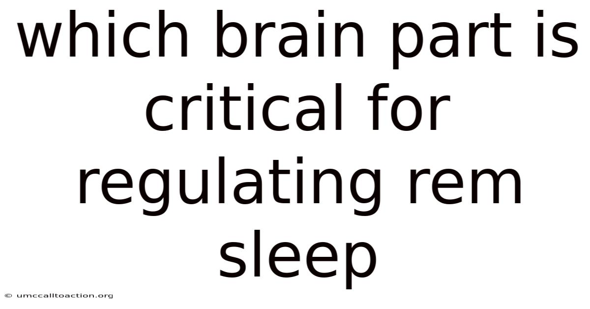 Which Brain Part Is Critical For Regulating Rem Sleep