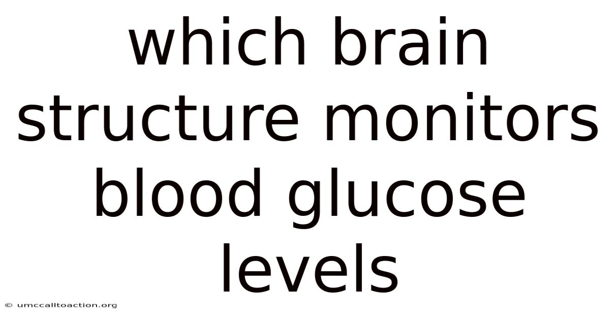 Which Brain Structure Monitors Blood Glucose Levels