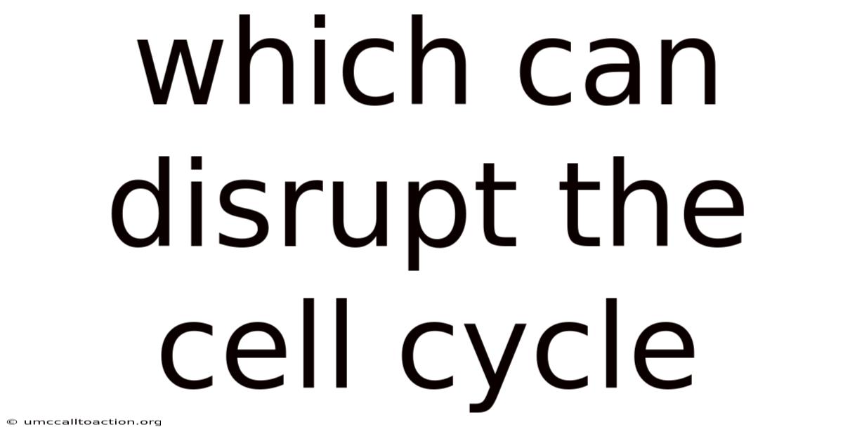 Which Can Disrupt The Cell Cycle