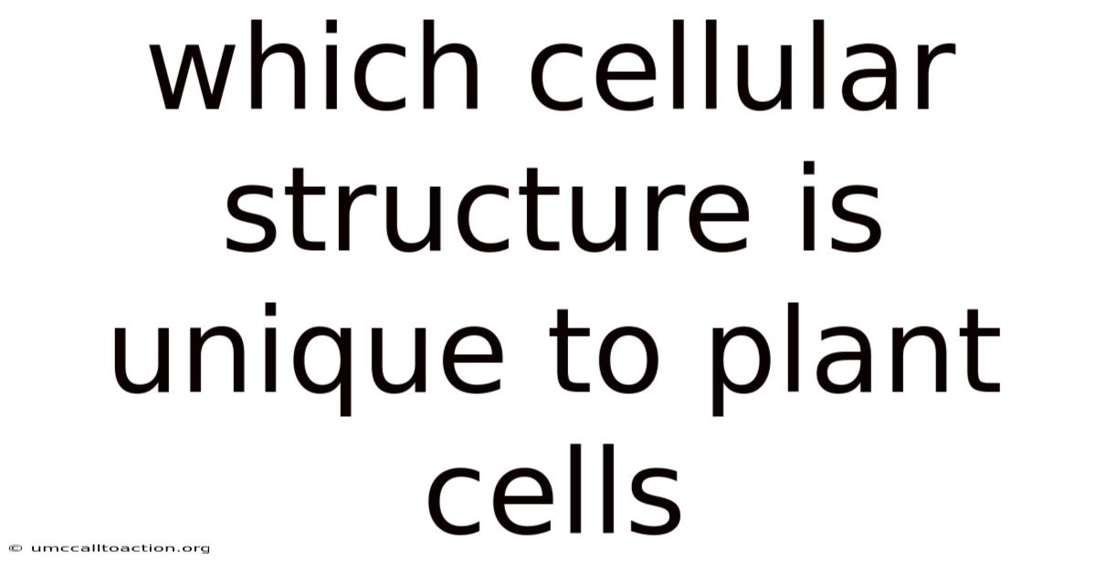 Which Cellular Structure Is Unique To Plant Cells