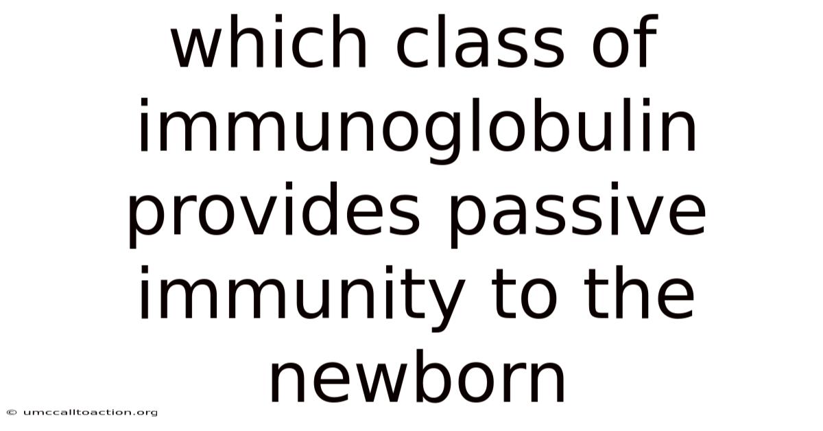 Which Class Of Immunoglobulin Provides Passive Immunity To The Newborn