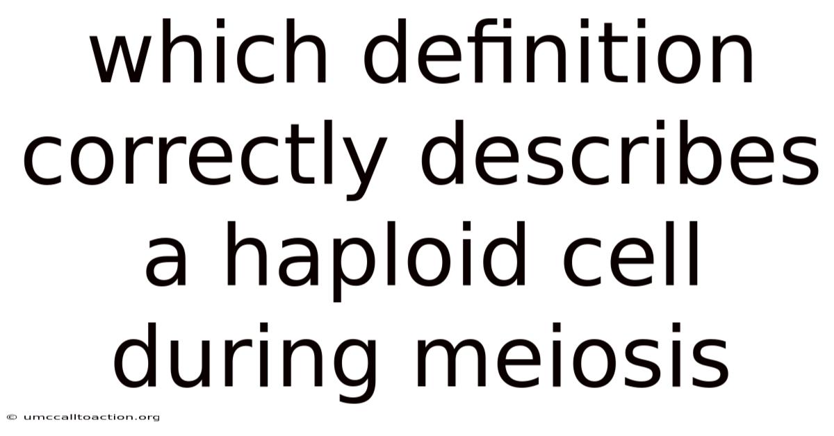 Which Definition Correctly Describes A Haploid Cell During Meiosis