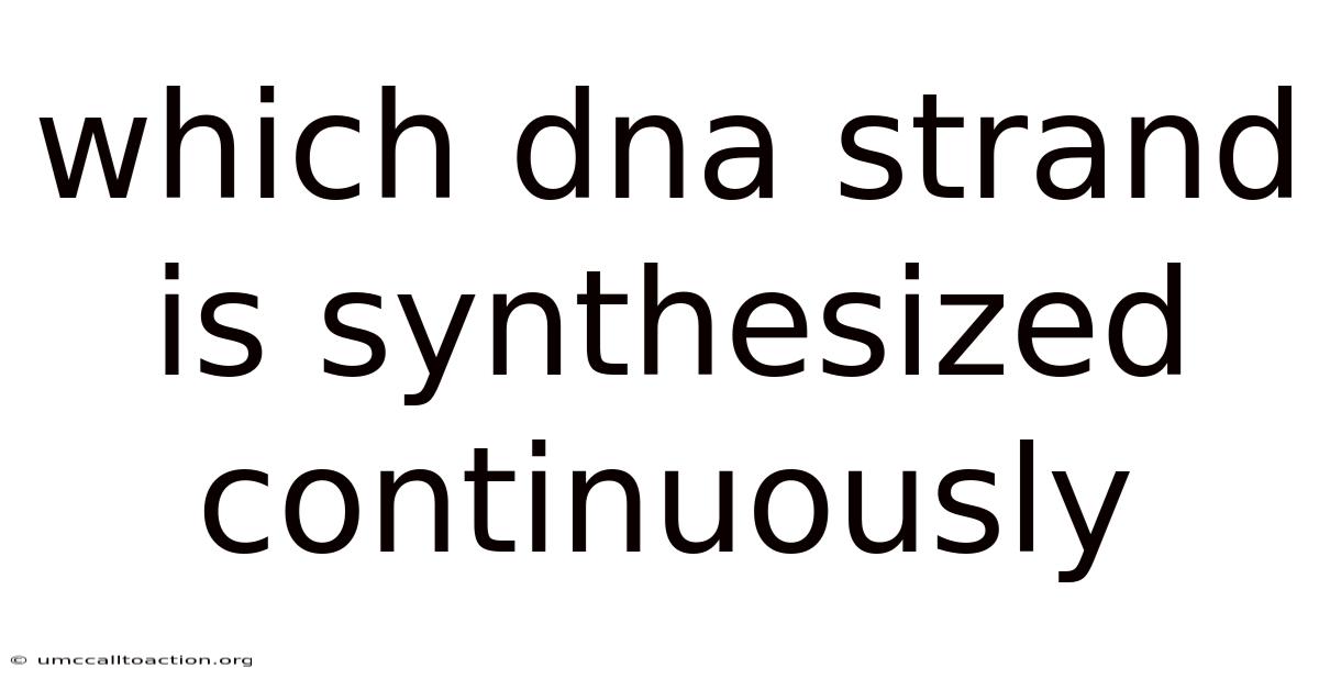 Which Dna Strand Is Synthesized Continuously