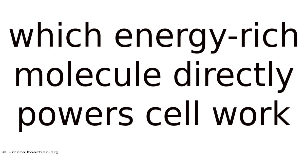 Which Energy-rich Molecule Directly Powers Cell Work