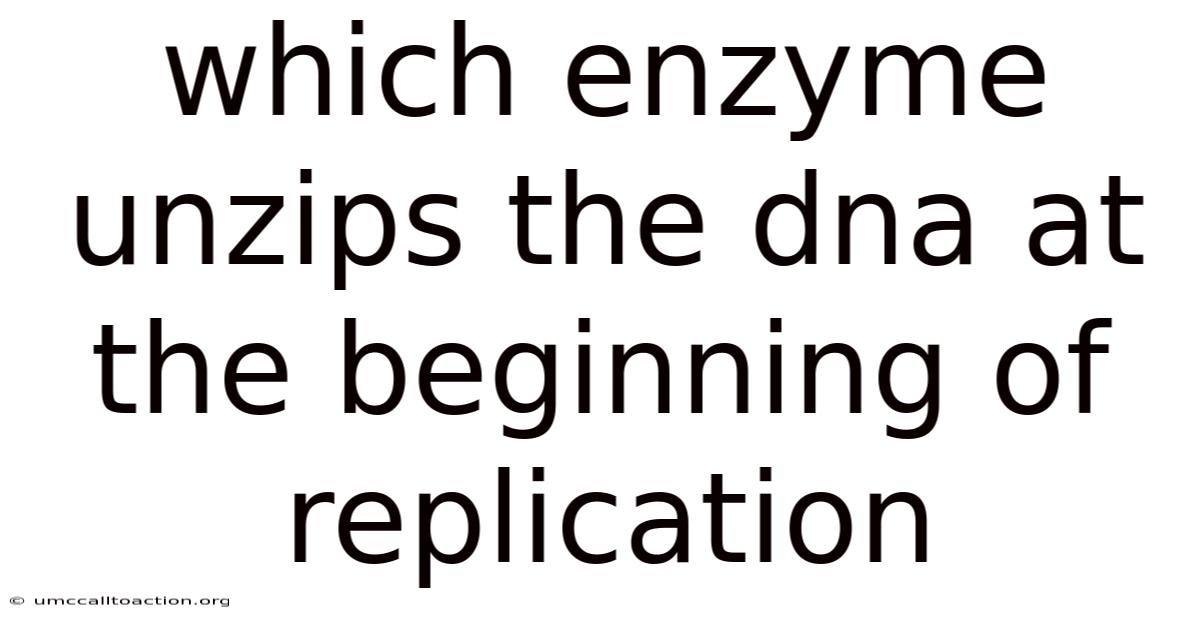 Which Enzyme Unzips The Dna At The Beginning Of Replication