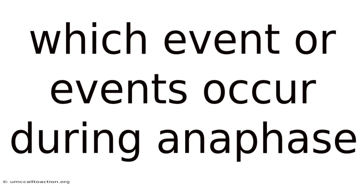 Which Event Or Events Occur During Anaphase