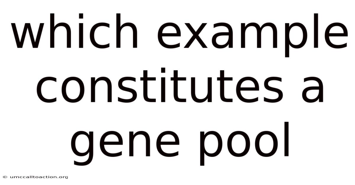 Which Example Constitutes A Gene Pool