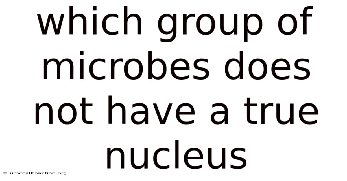 Which Group Of Microbes Does Not Have A True Nucleus