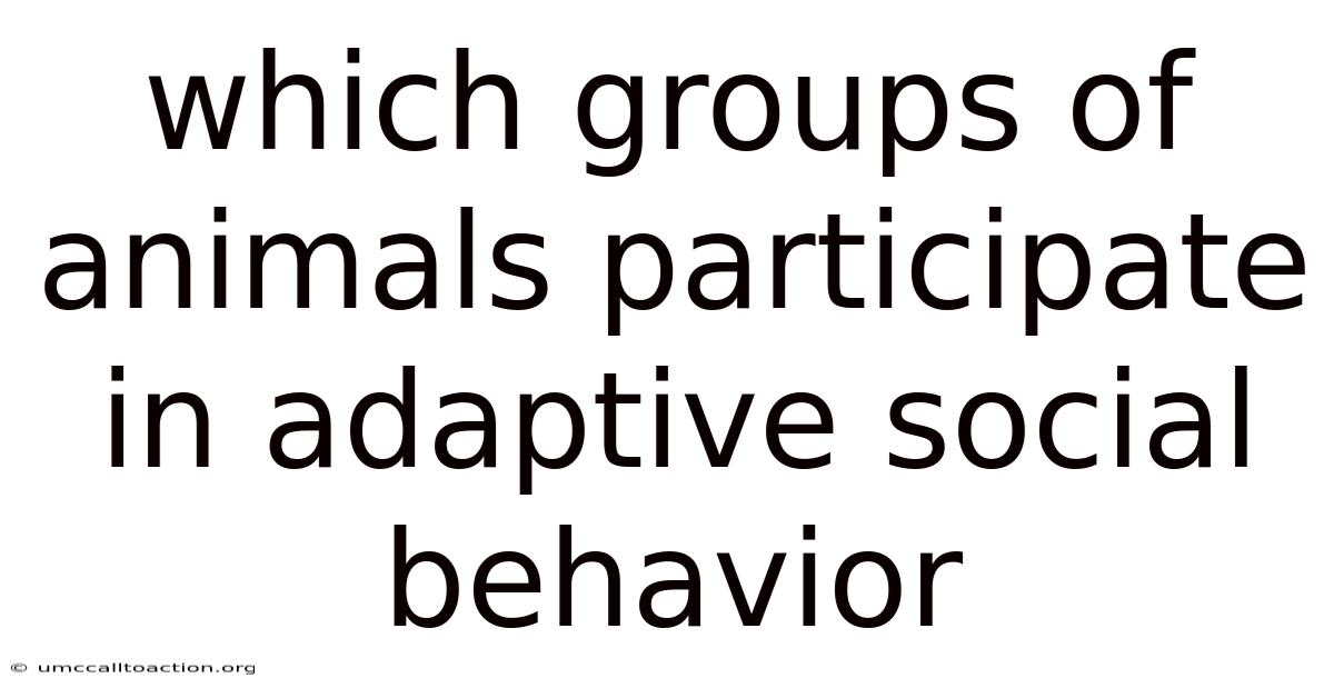 Which Groups Of Animals Participate In Adaptive Social Behavior
