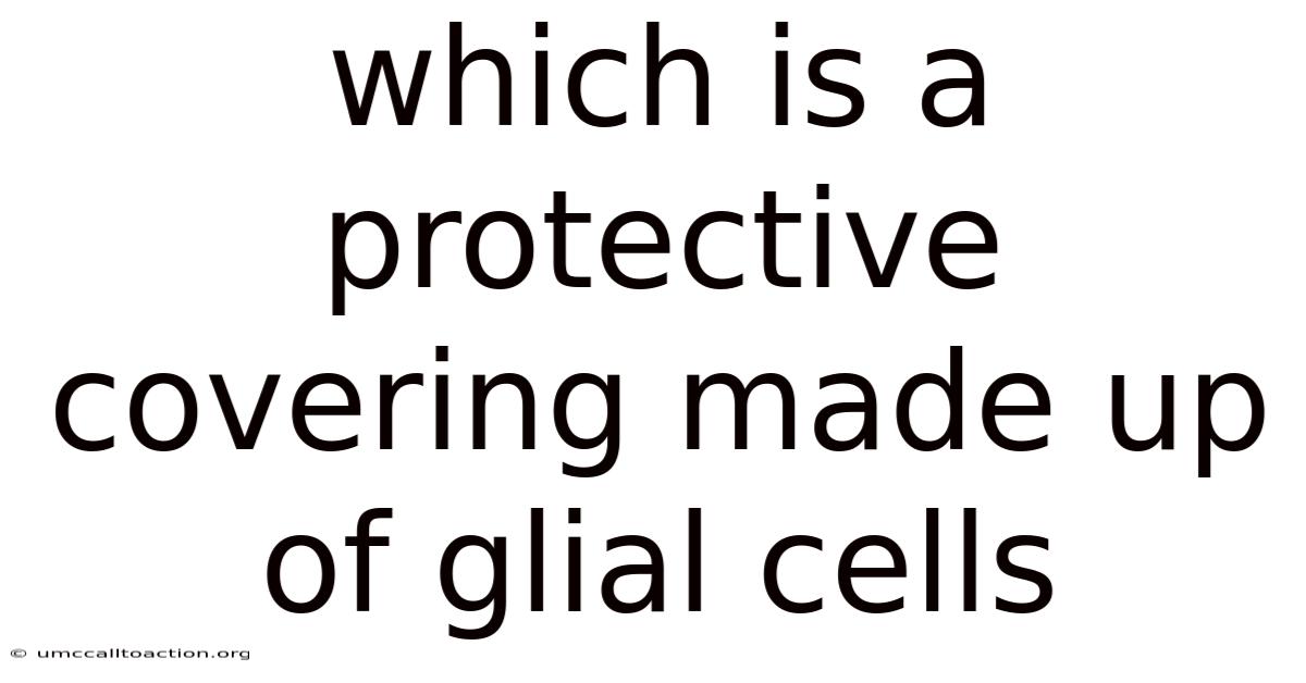 Which Is A Protective Covering Made Up Of Glial Cells