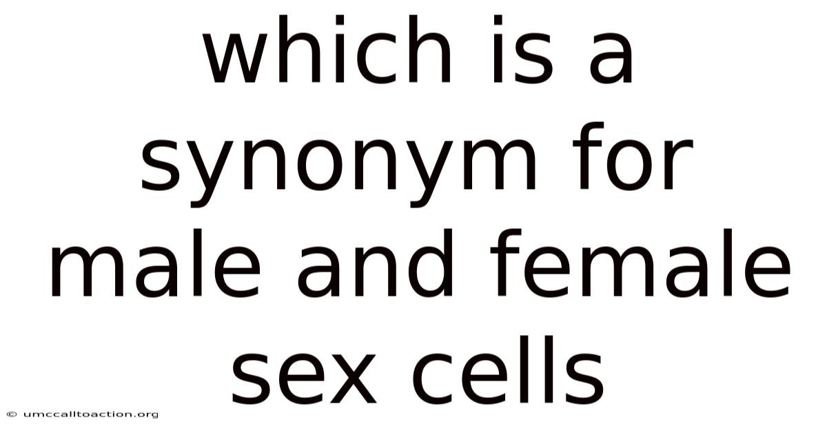 Which Is A Synonym For Male And Female Sex Cells