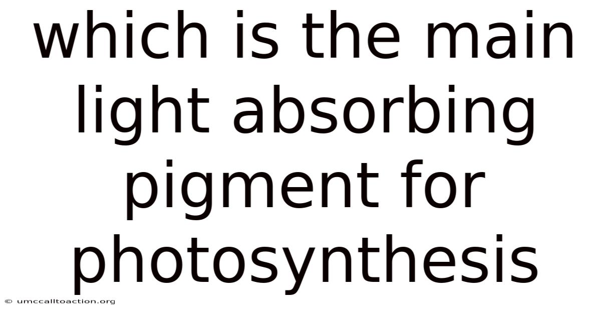 Which Is The Main Light Absorbing Pigment For Photosynthesis