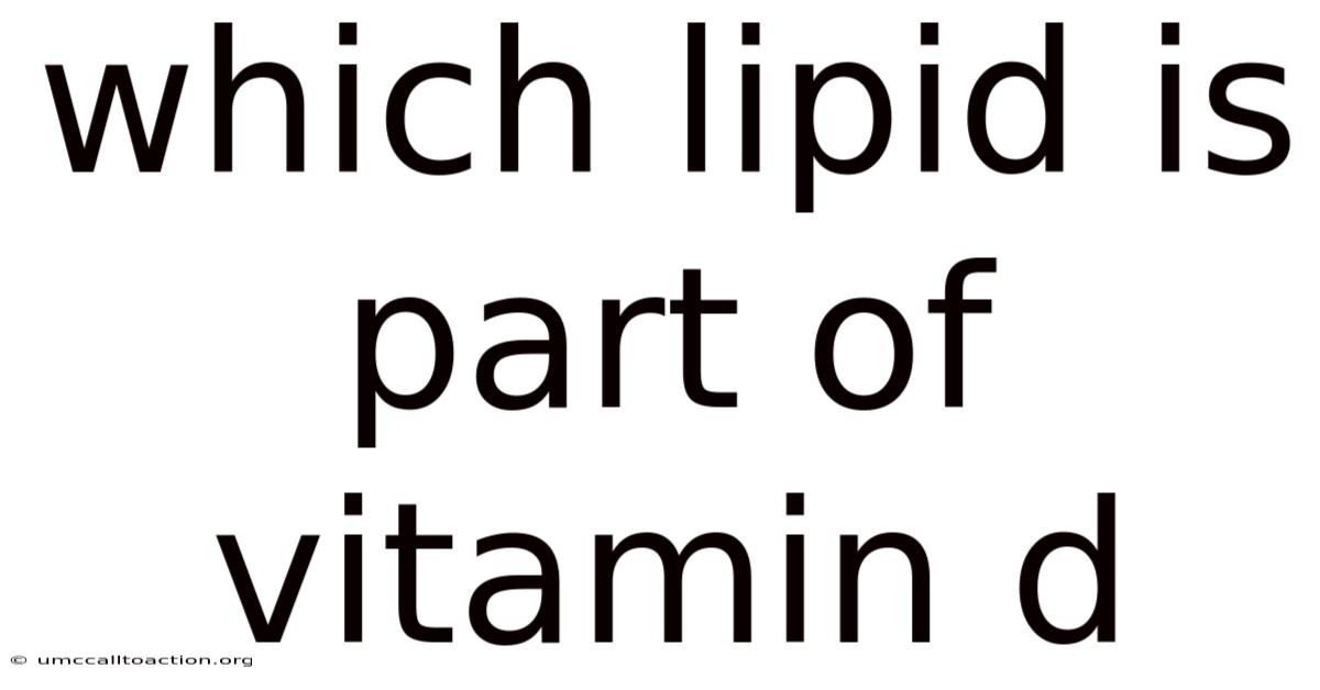 Which Lipid Is Part Of Vitamin D