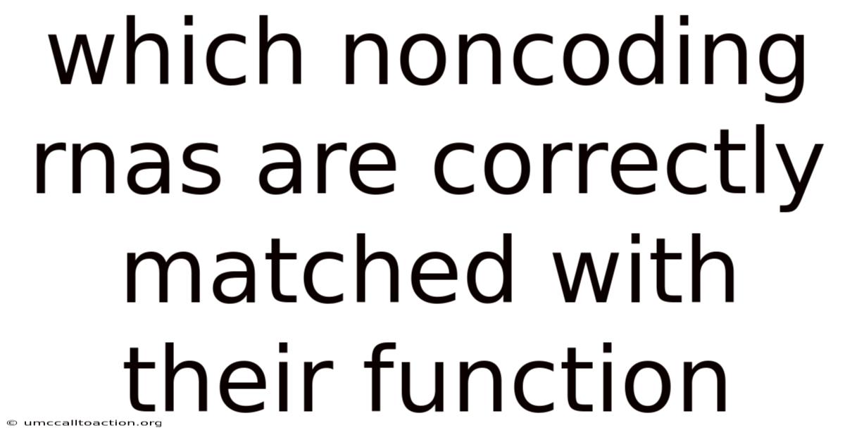Which Noncoding Rnas Are Correctly Matched With Their Function