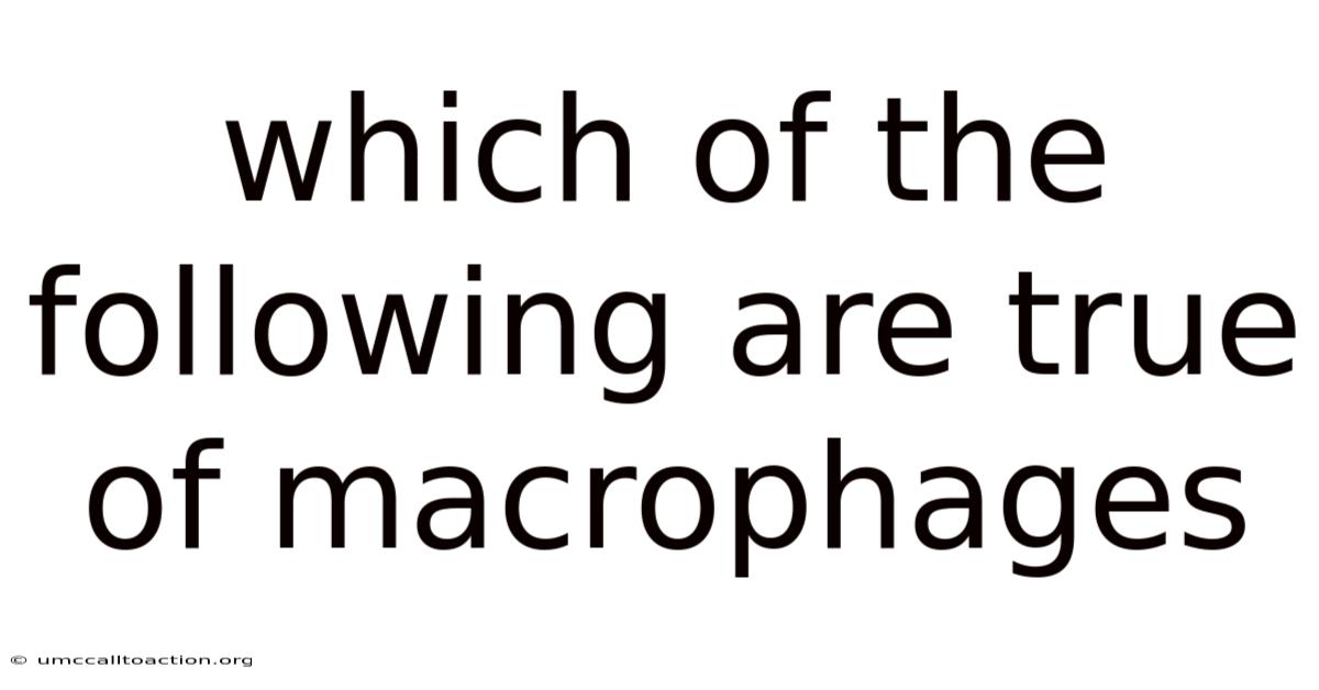 Which Of The Following Are True Of Macrophages