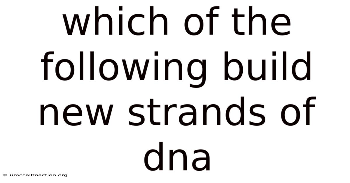 Which Of The Following Build New Strands Of Dna