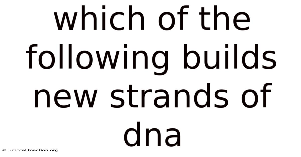 Which Of The Following Builds New Strands Of Dna