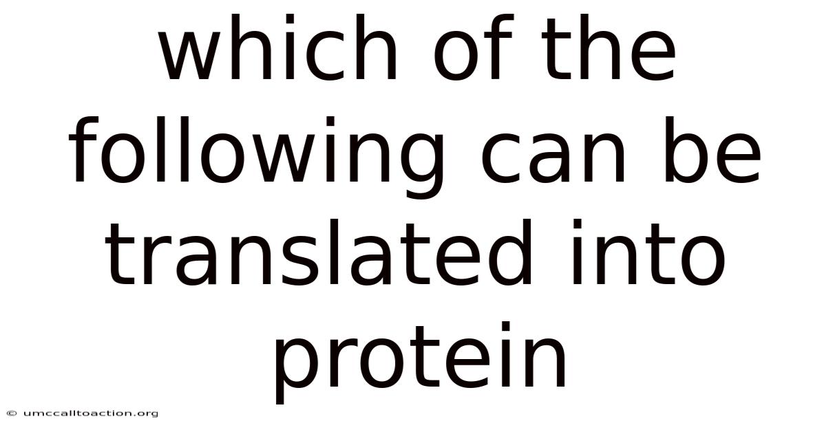 Which Of The Following Can Be Translated Into Protein