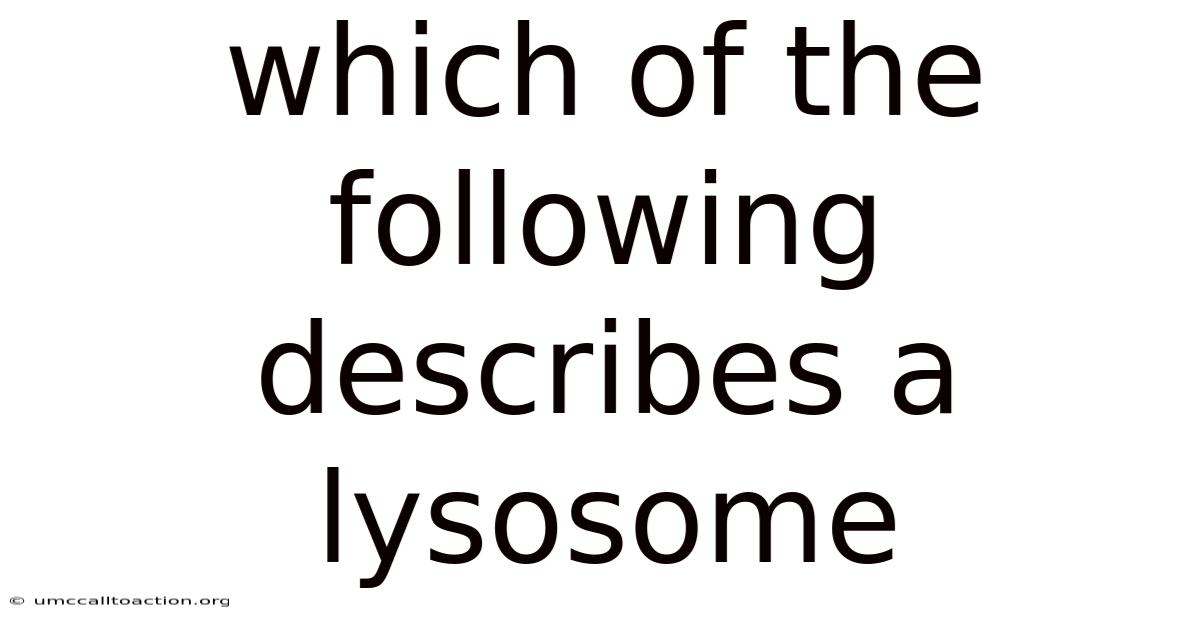 Which Of The Following Describes A Lysosome