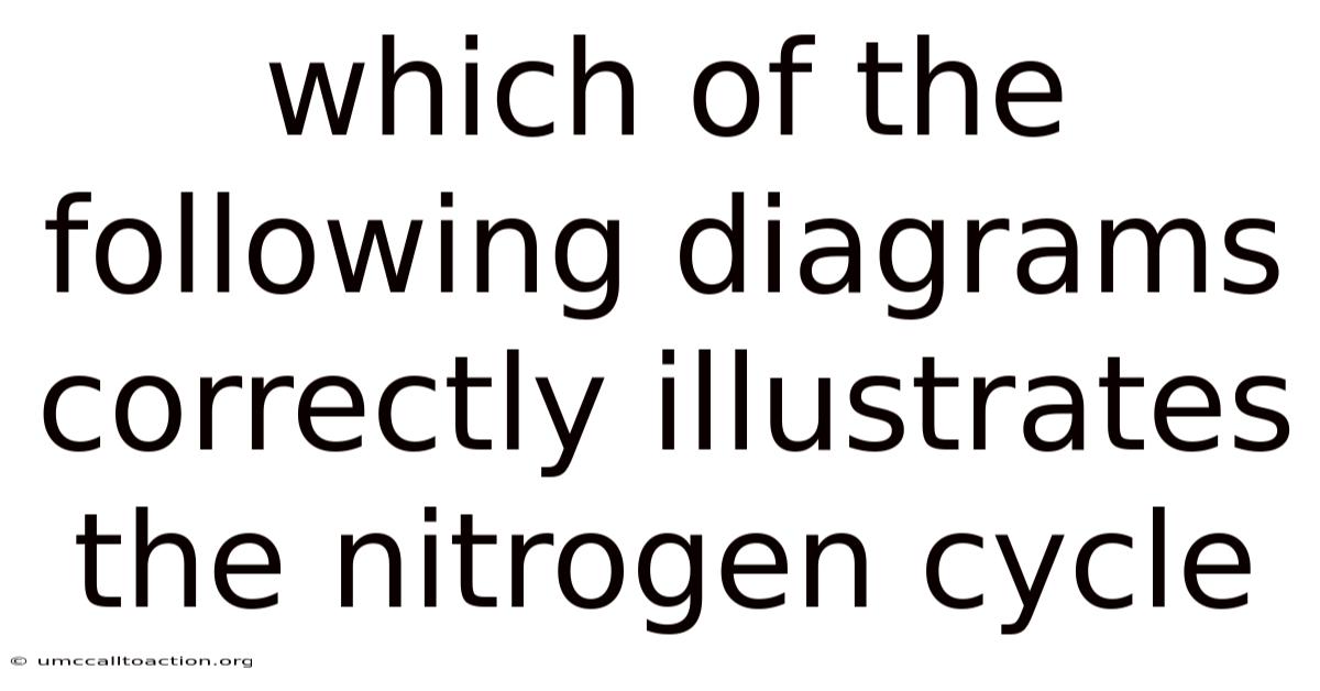 Which Of The Following Diagrams Correctly Illustrates The Nitrogen Cycle