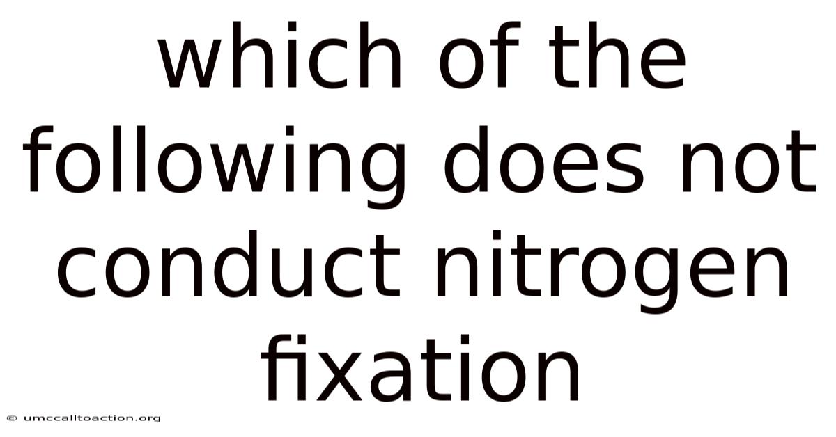 Which Of The Following Does Not Conduct Nitrogen Fixation