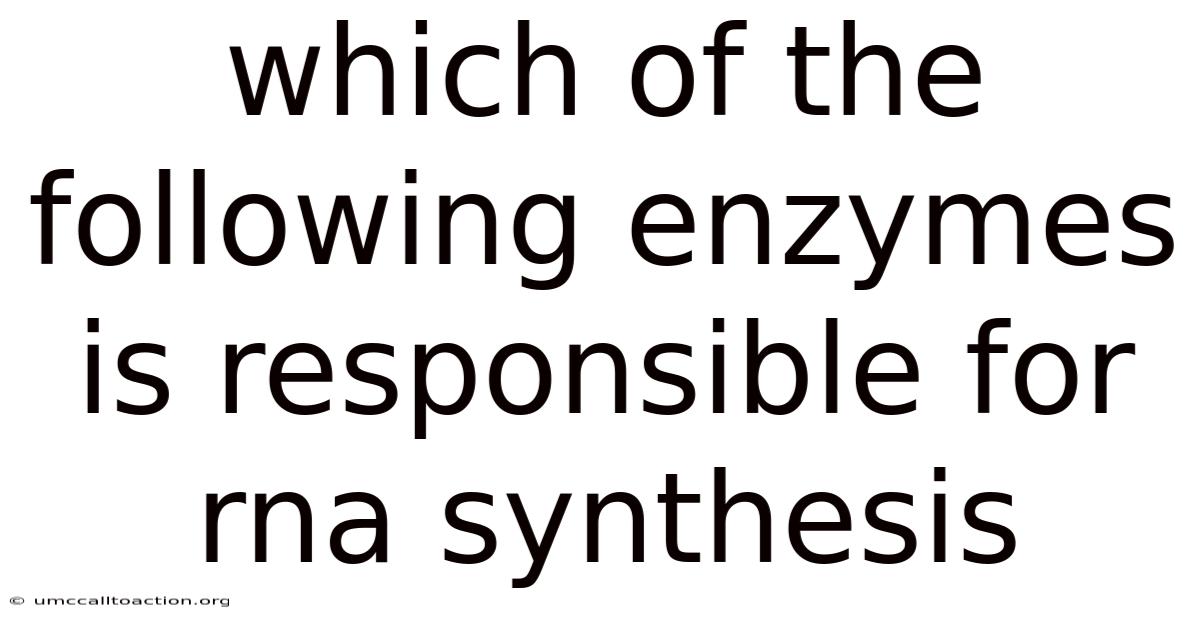 Which Of The Following Enzymes Is Responsible For Rna Synthesis