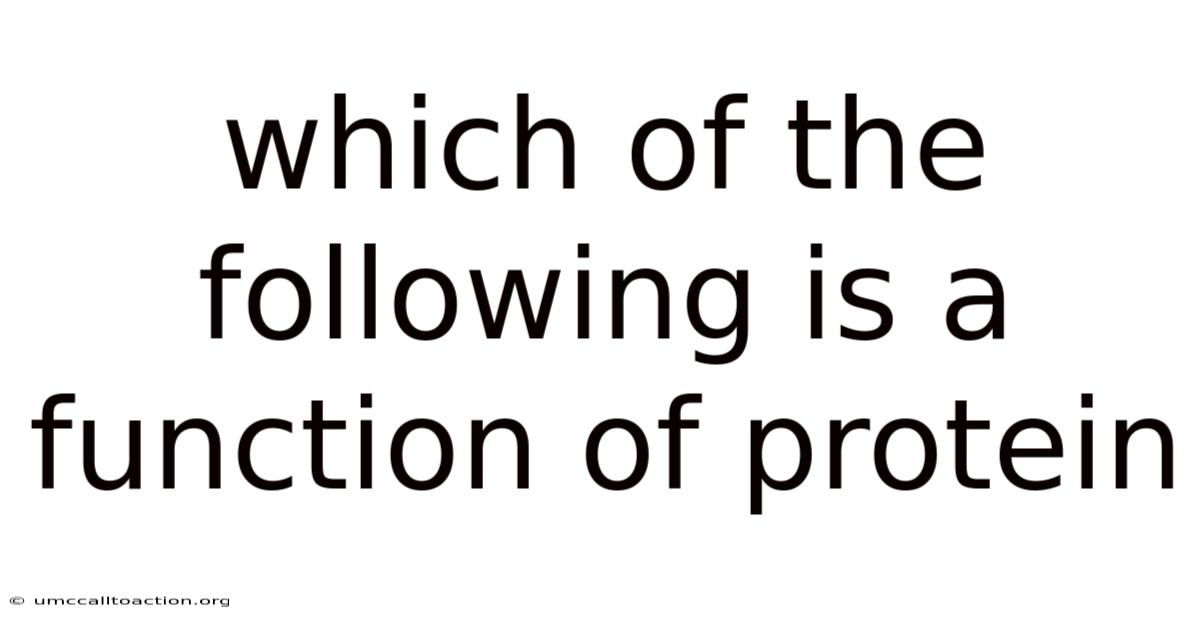 Which Of The Following Is A Function Of Protein